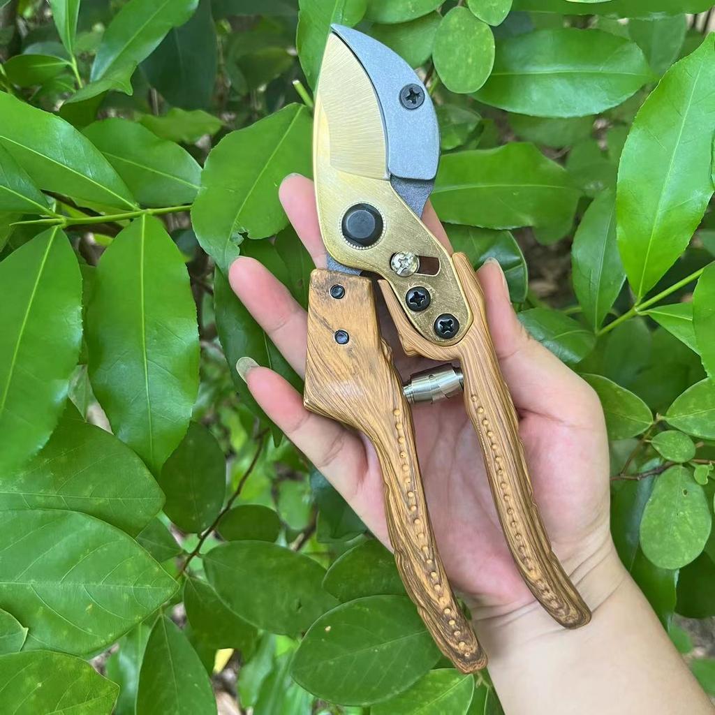 SK5 Steel Twocolor Blade Gardening Shears Bypass Pruning Scissors Heavy Duty Pruning Manual Pruning GardenTool Wood Pattern