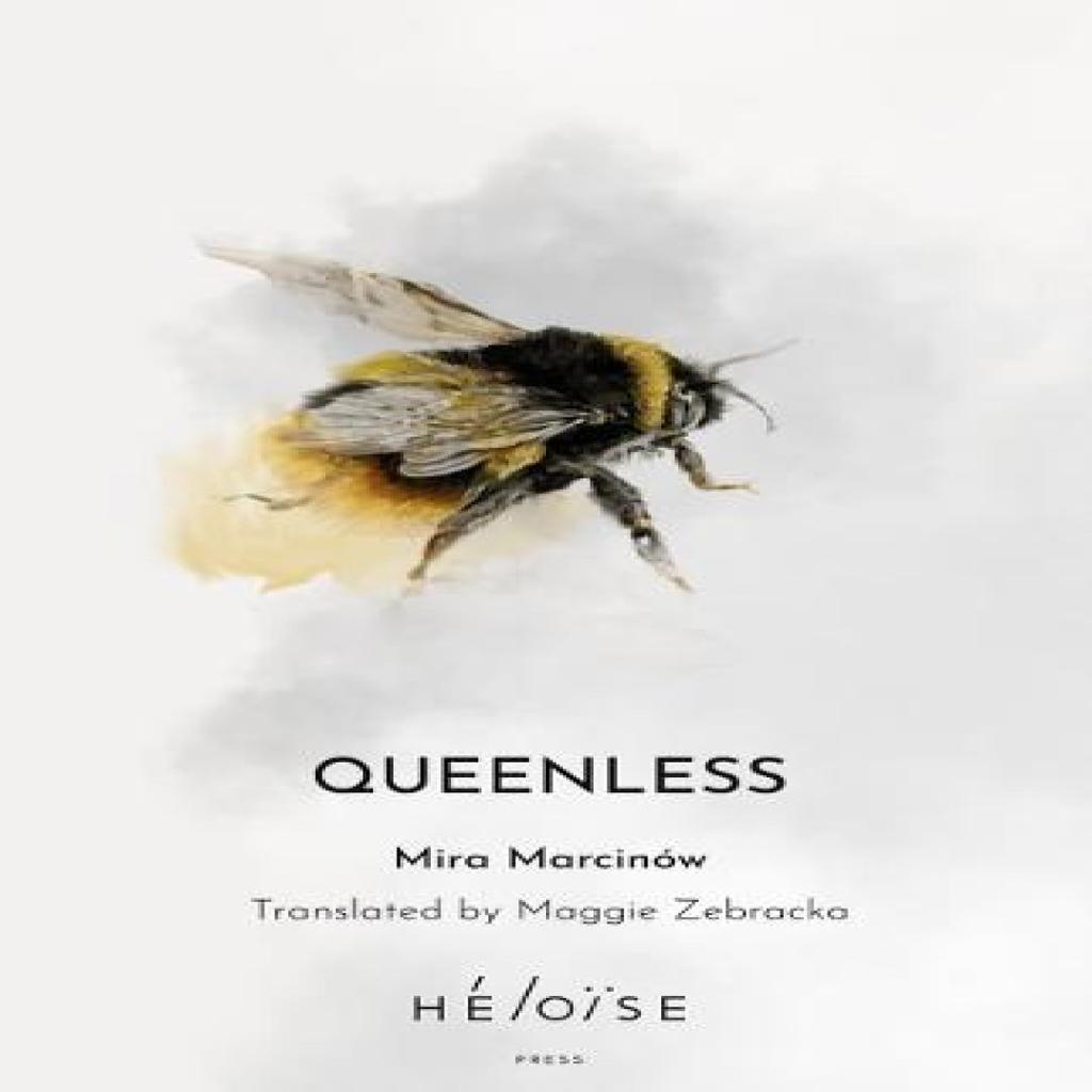 QUEENLESS by Mira Marcinow Paperback Book 9781739751593
