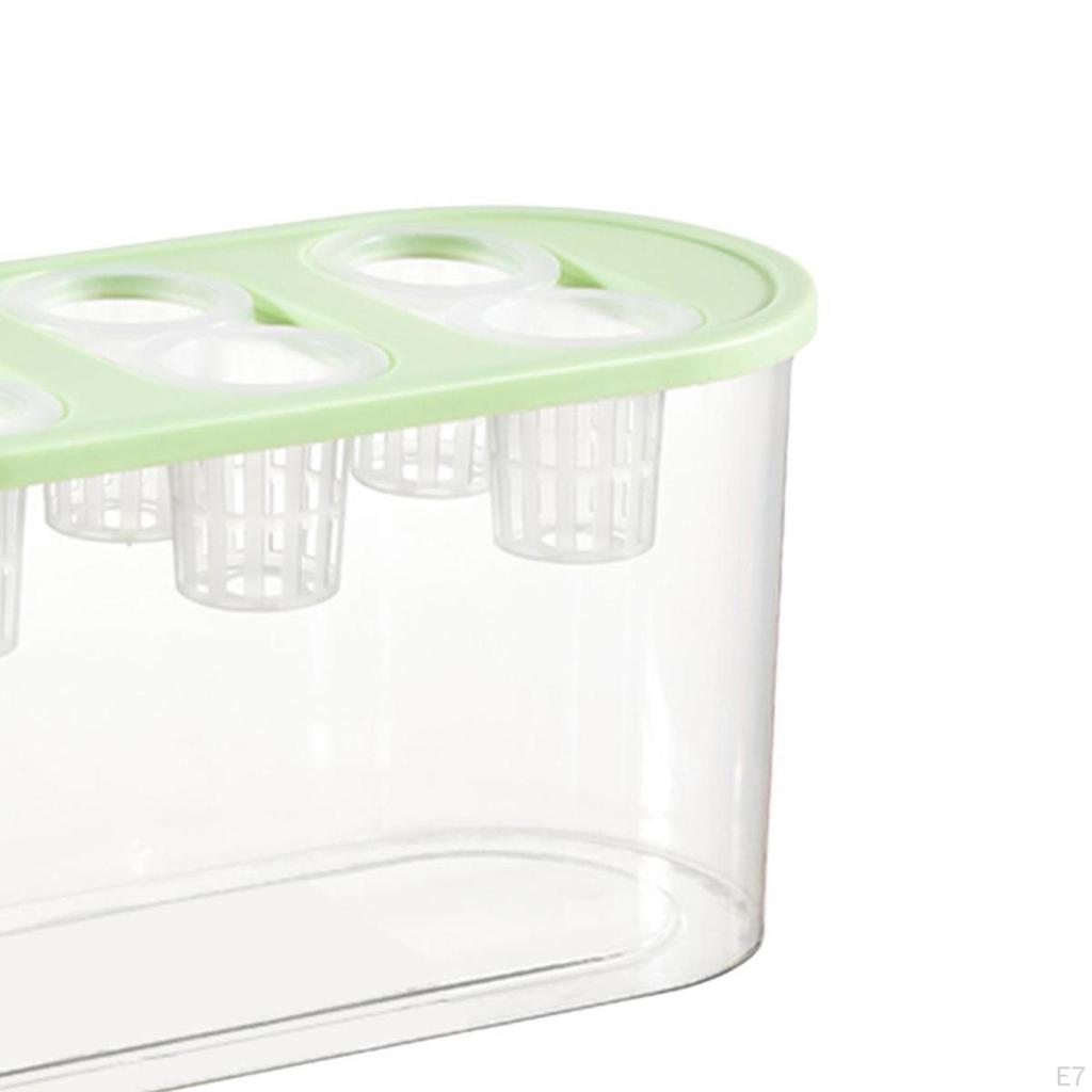 Grower Box Transparent Planting 6 Holes Practical Rectangular Container for Home