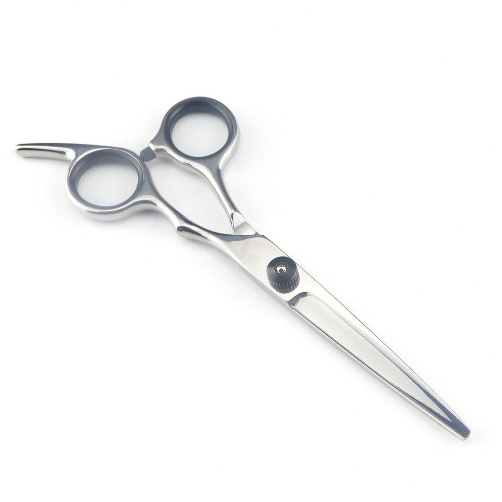 6.0-Inch Color Hairdressing Scissors Set: High Screw, Straight, Serrated, Thinning Scissors