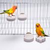 Creative Ice Cream Shaped Parrot Stand Pole Matte Finish Bird Platform with Tooth & Claw Grinding Stick Pet Supplies for Parrots