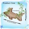 Starfishs Shape Seashells Display Box with Clear Acrylic Front Wood Seashells Holders for Shark Teeth Small Shadows Box