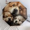 Chow Chow Muster, automatischer Regenschirm, tragbares und faltbares Design, 8 Rippen, ein Weihnachts- oder Geburtstagsgeschenk.
