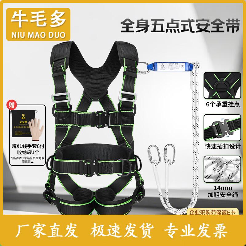 Five-Point Safety Harness