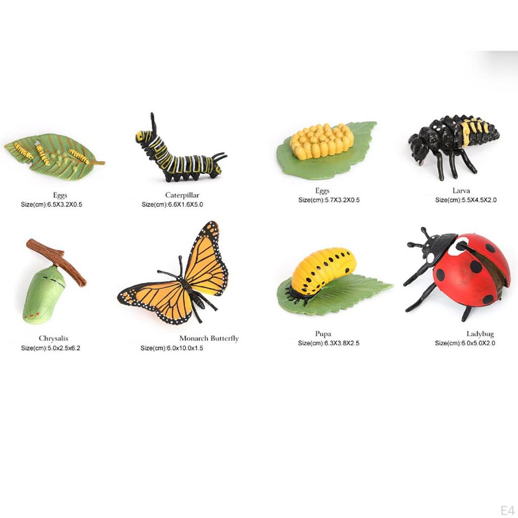 Animal Life Cycle Educational Toys for Science Learning