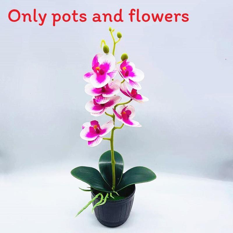 Phalaenopsis Artificial Aphrodite Rchb Potted Plant  For Gift And Interior Decor