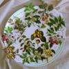 40pcs Natural Stickers Journaling Stationery Transparent PET Flowers Leaves Plants Deco Stickers