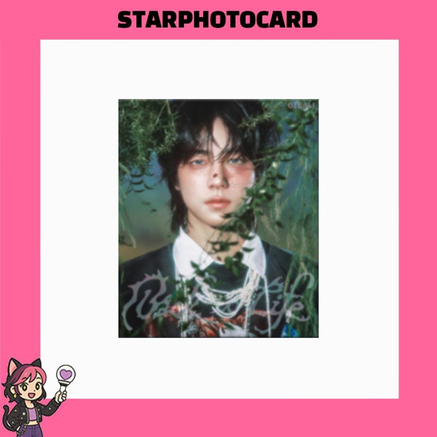 [SKLADEM] &TEAM - KR 1. MINI ALBUM BACK TO LIFE ROAR Ver