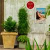 2D Vintage Metall Wanddeko Strand Bikini Mädchen Poster - Langlebige Eisen Hängekunst für Zuhause Schlafzimmer Bar Badezimmer Musikzimmer