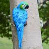 Tree Stump Parrot Ornament, Waterproof Resin Parrot Statue with Realistic Feather Texture, Outdoor Wall Mount Macaw Bird Ornament for Garden Tree