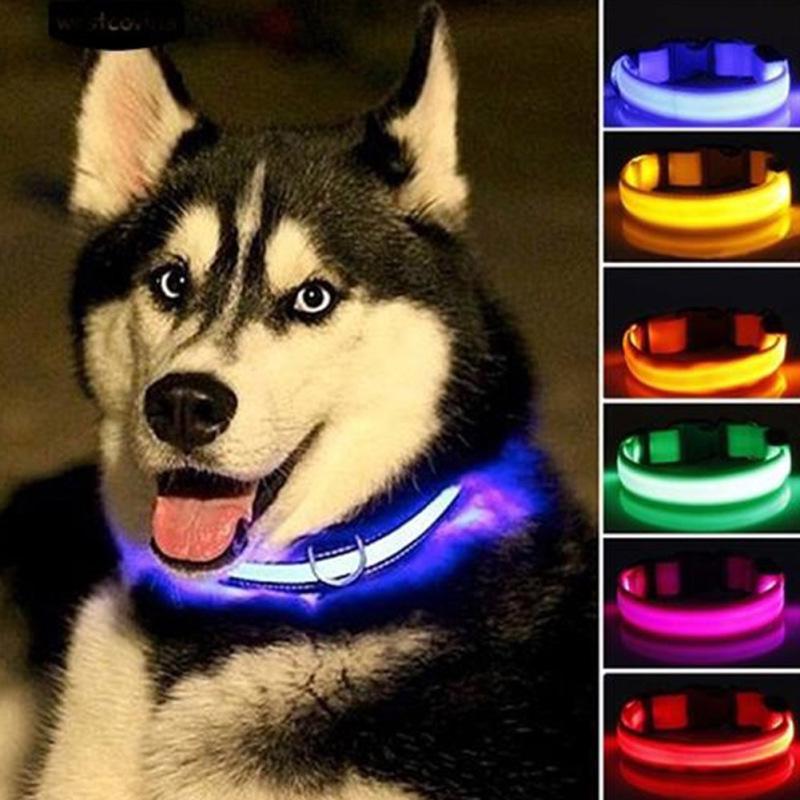 led pet dog collar