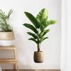 Removable Faux Green Plant Wall Decal for Living Room & Bedroom