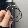 Exaggerated Metal Geometry Large Circle Leopard Print Hoop Earrings for Women Fashion Autumn and Winter Ear Jewelry Gift