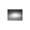 Shotoku Glass Usui-hari Glass Tumbler LL 510ml