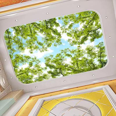 Stropní tapeta 3d Lesní téma Sky Zenith Nástěnná malba Obývací pokoj Ložnice Lesní zelená Listová Zenithová malba