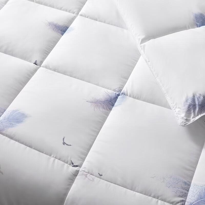 Tangna Cloud-Soft Duck Down Quilt