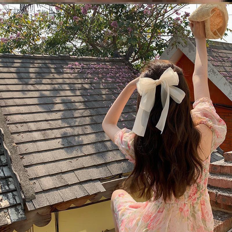 Sheer Bow Clip for Women, Summer Butterfly Hair Claw with Flowing Ribbon, Cute Spring Clip Hair Accessories for Thin Hair