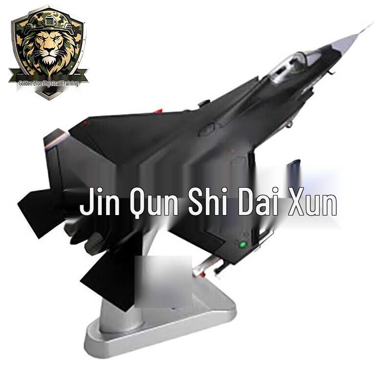 J-31 Fighter Jet Model
