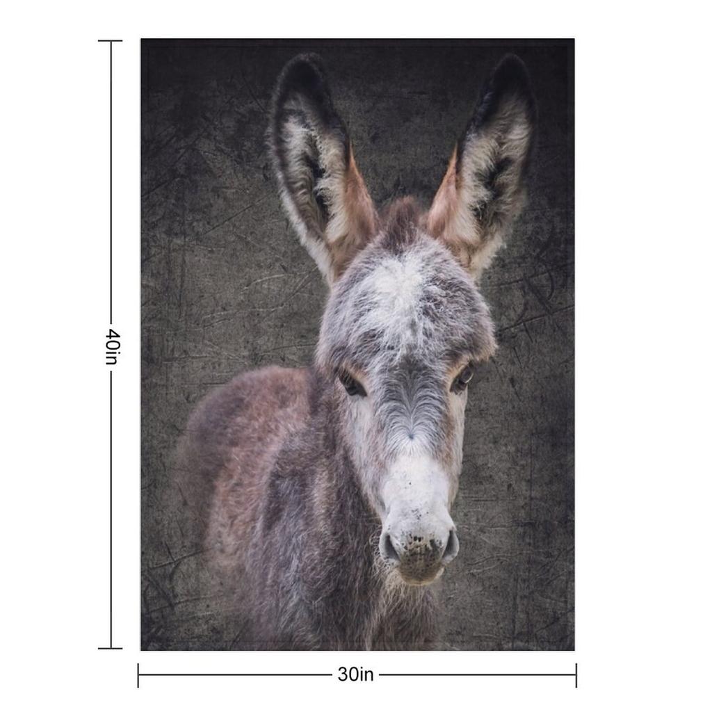 Donkey Foal Mattheo Throw Blanket Halloween Sofa for Sofa Extra Large Throw Blankets