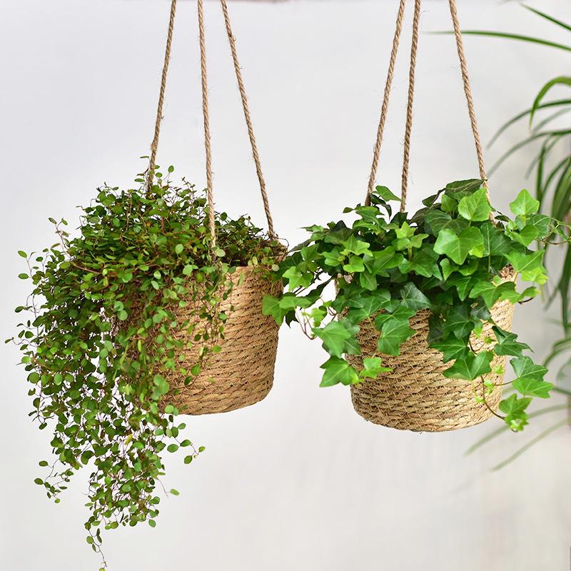 Woven Hanging Flower Pot for Green Plants & Orchids - Rattan Basket Home Decor