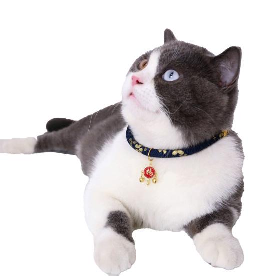 lightweight cat collar