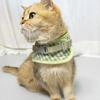 Cat Harness, Cat Chest Leash, Walking Leash, Vest Type, Green