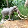 Realistic Solid Wildlife Animal Replica of Ancient Gomphothere Toy Figurine