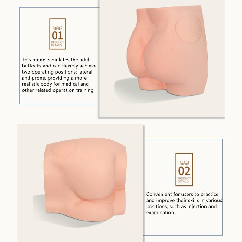 Human Adult Hip Injection Training Model Reusable Manikin Teaching Intramuscular Anatomical Models For Nurse Medical Students