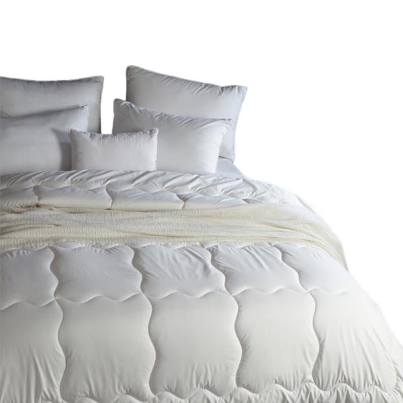 Mengjie All-Season Blended Quilt