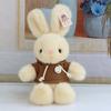 New long-eared ribbon rabbit plush toy doll 8-inch grab machine doll bunny doll birthday gift