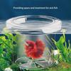 Acrylic Aquarium Isolation Box  for Aquarium Hatchery Accessory