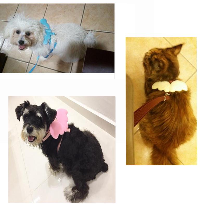 Pet Supplies Adjustable Dog Nylon Leash Dog Cat Traction Rope Puppy Pet Angel Wings Chest Straps