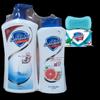 Safeguard Shower Gel & Soap Bundle