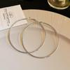 Stylish Silver Needle Round Hoop Earrings: Simple, Fashionable, Versatile, with a Light Luxury Feel