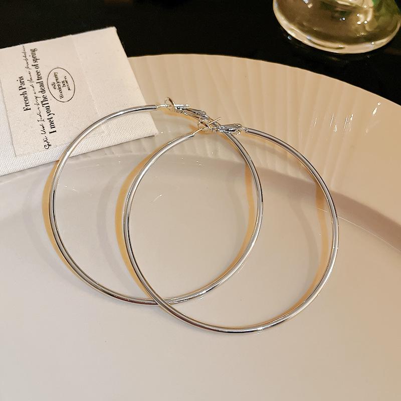 Stylish Silver Needle Round Hoop Earrings: Simple, Fashionable, Versatile, with a Light Luxury Feel