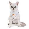 Pet Supplies Cat Sterilization Clothes Postpartum Clothes Spring and Summer Surgical Clothes Anti-licking Weaning Clothes Four-legged Home Clothes