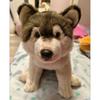 38cm Simulation Wolf Dog Plush Toy Realistic Animal Plush Pet Soft Pillow Home Decoration Series Children's Toy Birthday Gift