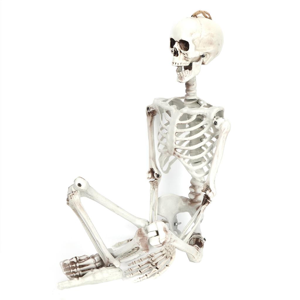 Halloween Resin Full Body Skeletons with Movable Joints for Home Costume Party Decoration PropsM