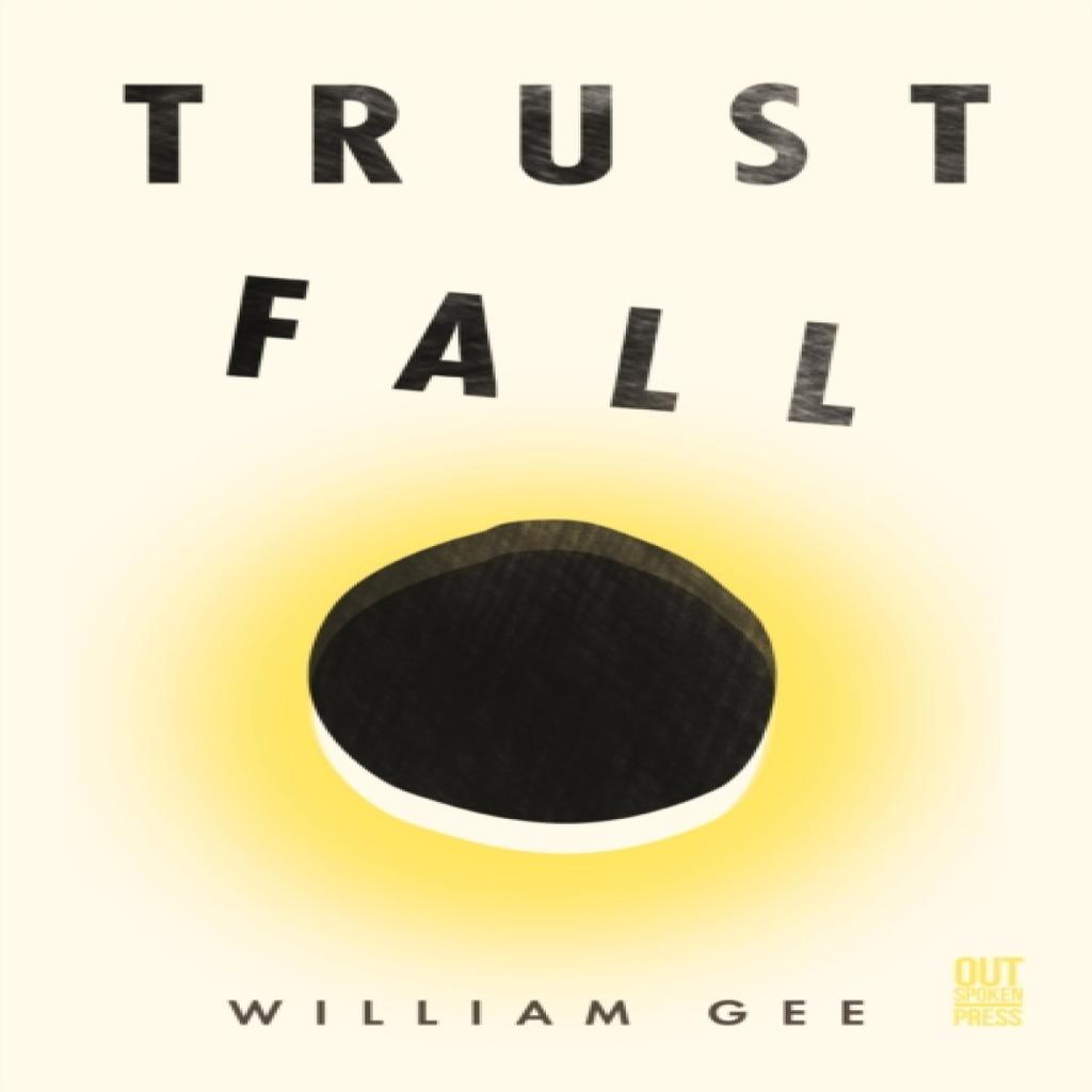 Trust Fall by William Gee Paperback Book 9781739902179