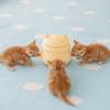 Silicone Kitten Nipple Feeder Bionic Nipple Dog Drinking Bottle  Animal Drinking Tool