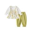 Floral Baby Girl 2-Piece Set: Long Sleeve Top & Pants for 0-6 Years