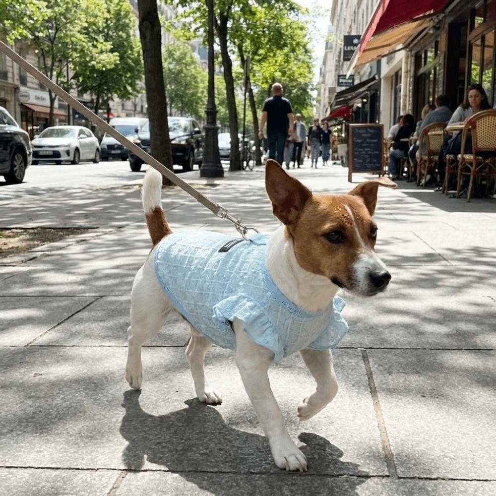 Airy Fabric Pet Cooling Vest Fly Sleeve Summer Dog Clothes Cute Dog Sunscreen Shirt Sun Protection