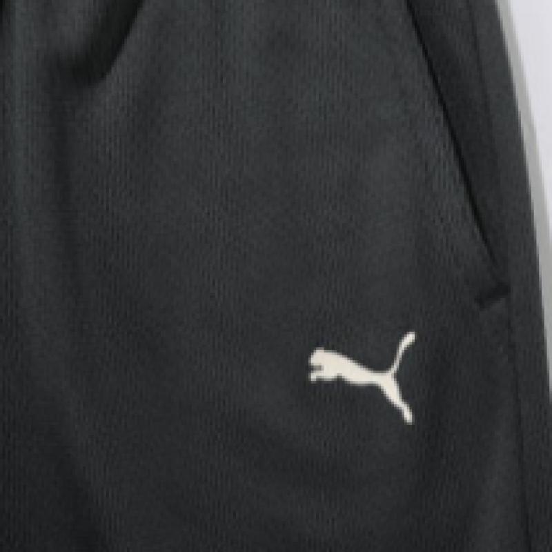 Puma Bodywear Puma Bodywear Bodywear 10th Choose 2