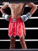 Boxing Ribbon Style Muay Thai Kickboxing Competition Shorts