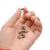 10 Pcs Stainless Steel Surfboard Grub Screws 5mm Fin Plug Screws Replacement Surfboard Fin Screws Surfing Accessories