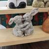 Animal Love Statue Fox Rabbit Hug Sculpture Resin Courtyard Garden Landscape Wedding Anniversary Gift Home Decor
