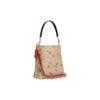 Coach Mollie Cow Leather Bucket Bag Handbag Small Women's Khaki (Unisex) Handbags CJ645 IMOT4