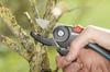 CLASSIC ANvil Pruner A/M - HG-08903-20