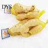 Hanging Bag 100Pcs Mesh Bags Convenient Reusable PE Breathable Garlic Storage Ginger Packing Net Sacks Plastic Buckles for Market
