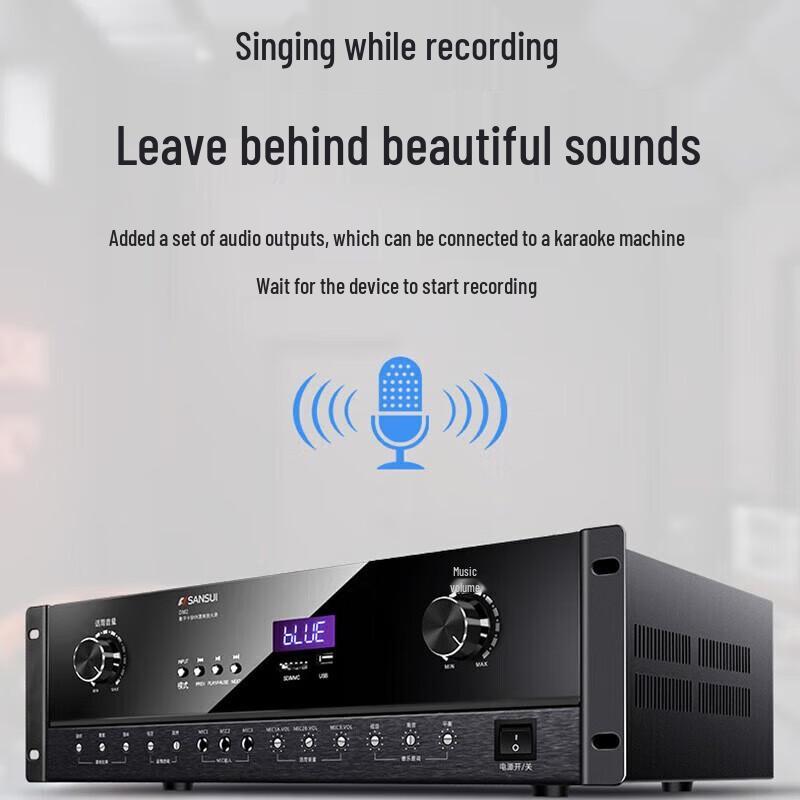 SANSUI DM2 Home KTV Power Amplifier CN Plug (adapter Included)